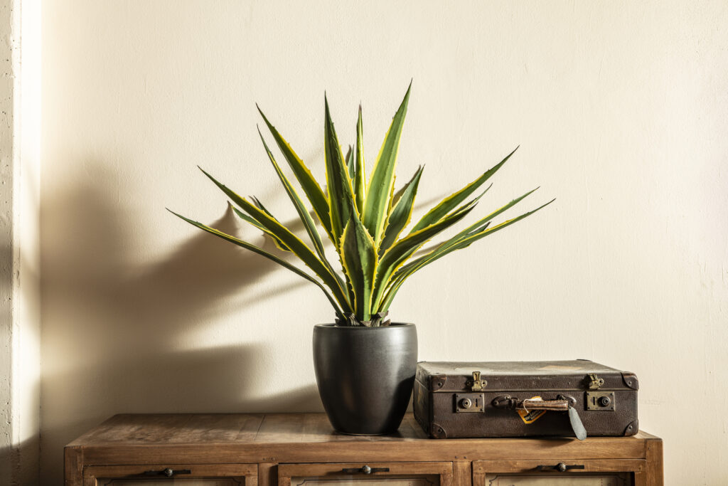 Mobili all'ingrosso online