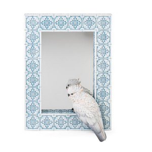 Specchio con pappagallo