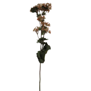 Fiori di vaniglia finti