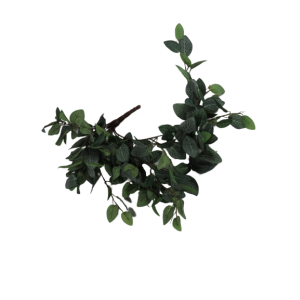 Cascante finto fittonia 51 cm