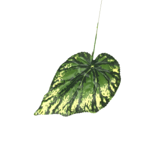 Foglia finta calathea 36 cm