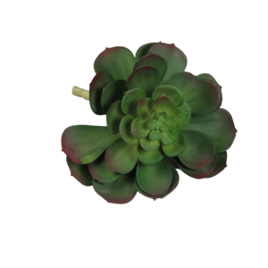Pianta finta echeveria 16 cm