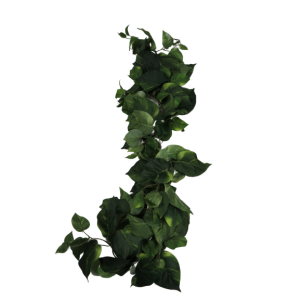 Ghirlanda finta pothos 180 cm