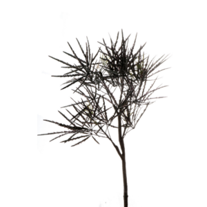 Pianta finta aralia 80 cm