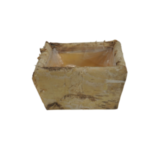 Cesto vaso in betulla