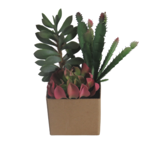 Piante grasse finte cactus sedum