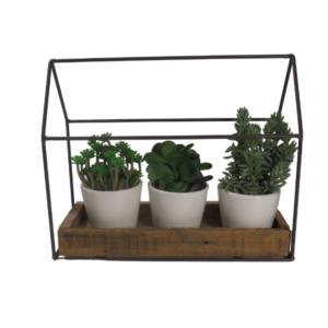 Serra con tre piante finte grasse