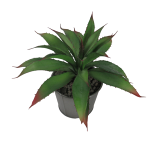 Pianta finta aloe in vaso di latta