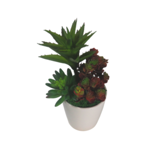 Pianta finta succulenta aloe sedum rosso