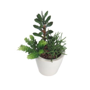 Pianta finta succulenta sedum