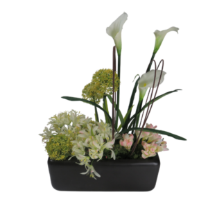 Pianta finta calle allium agapantus