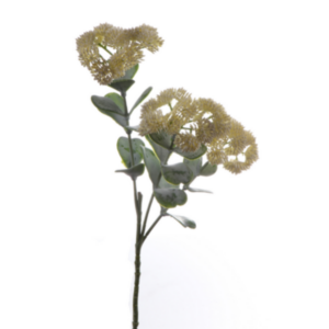 Sedum fiore finto