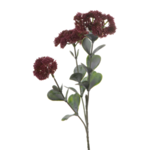 Sedum fiore finto