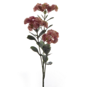 Sedum fiore finto