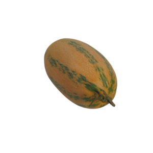 Zucca finta decorazione di halloween