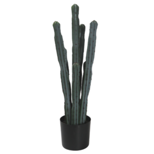 Pianta finta cactus in vaso