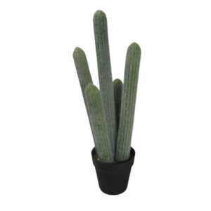 Pianta finta cactus in vaso