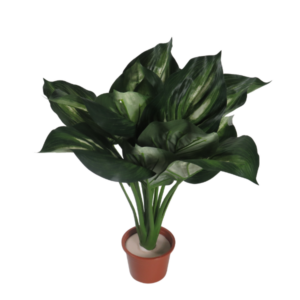 Pianta finta hosta in vaso