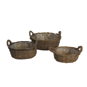 Cesti vasi in salice