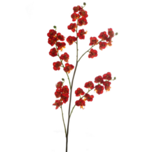 Phalaenopsis fiore finto