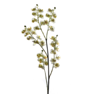 Phalaenopsis fiore finto