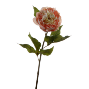 Peonia fiore finto