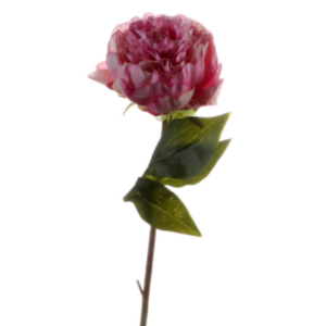 Peonia fiore finto