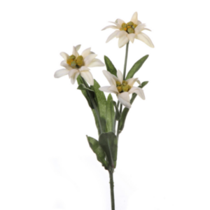 Stella alpina fiore finto