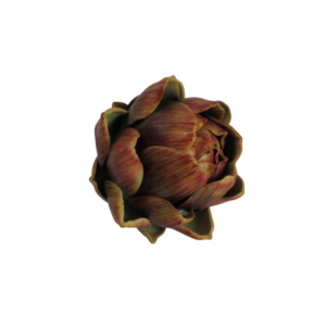 Carciofo verdura finta