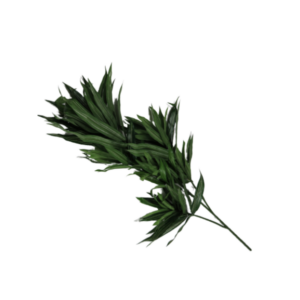 Ramo di dracena finta