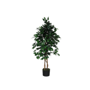 Ficus benjamin pianta finta