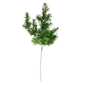 Eucalipto pianta finta