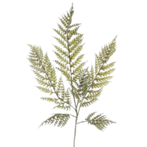 Ramo di felce pianta finta