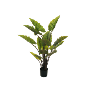 Taro pianta artificiale 140cm.