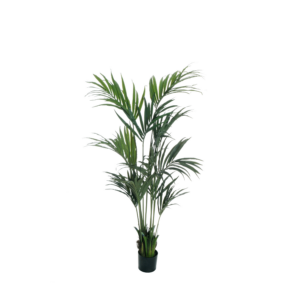 Kenzia finta in vaso 190cm.