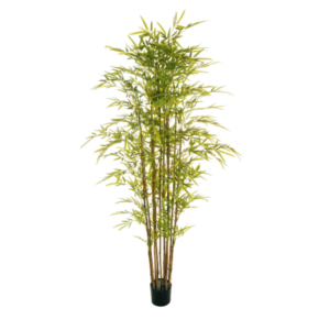 Bamboo finto in vaso