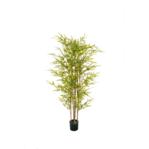 Alternative view of Bamboo finto in vaso