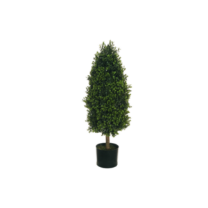 Pianta di bosso finta