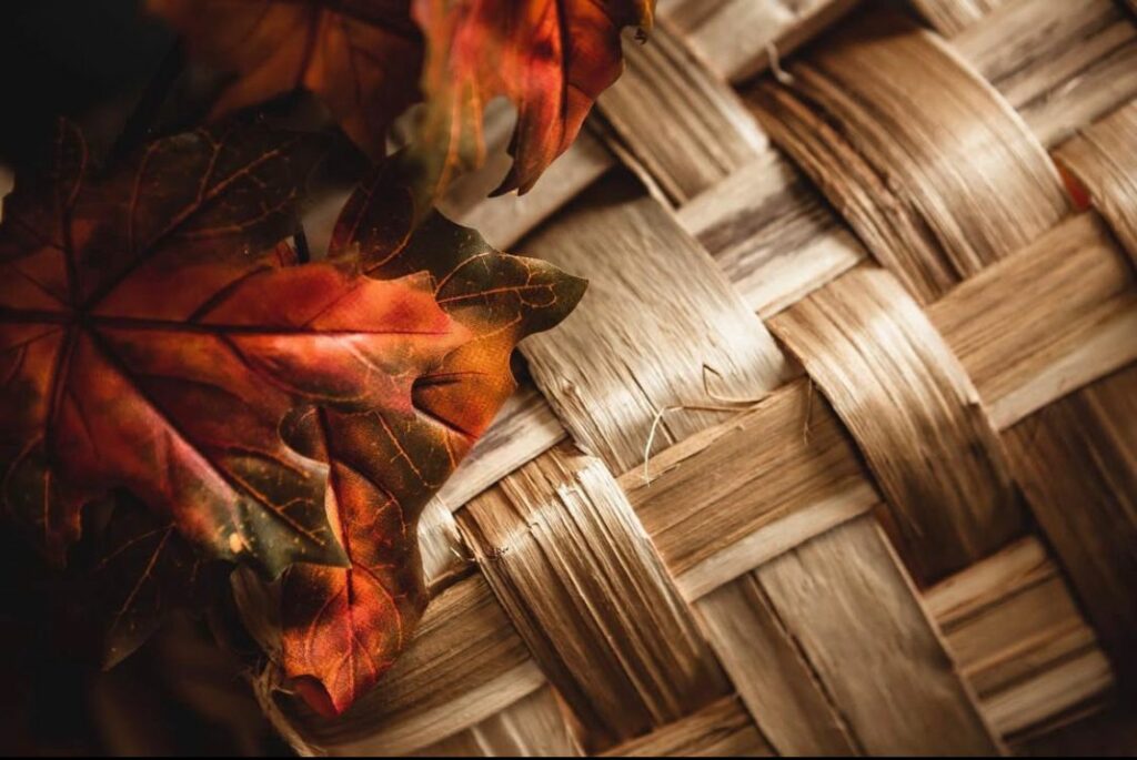 Cesteria all'ingrosso