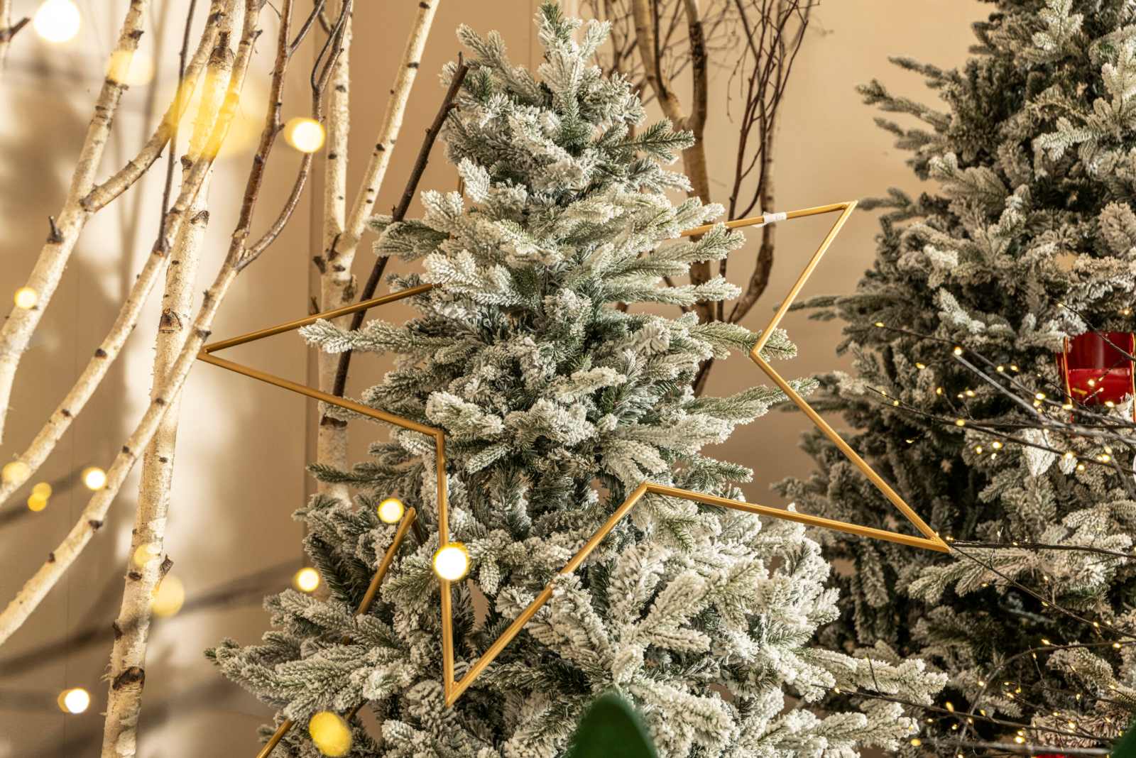 Natale all'ingrosso